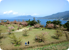 城山歴史公園(上関城跡）